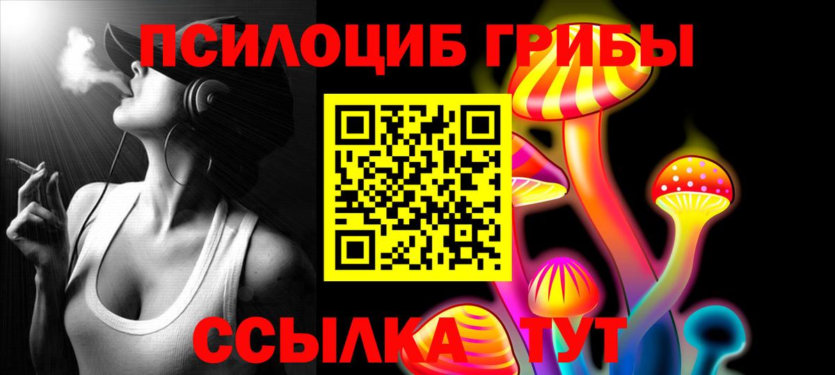 Галлюциногенные грибы прущие грибы  Вход с VPN  Чапаевск  Псилоцибиновые грибы Psilocybine cubensis 